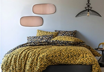 slider-img-becquet becquet
