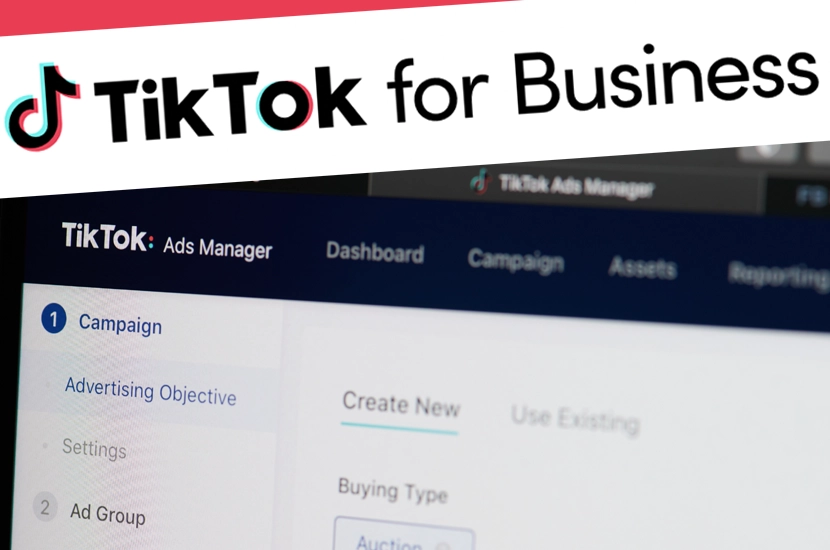 tiktok-ads-fonctionnement